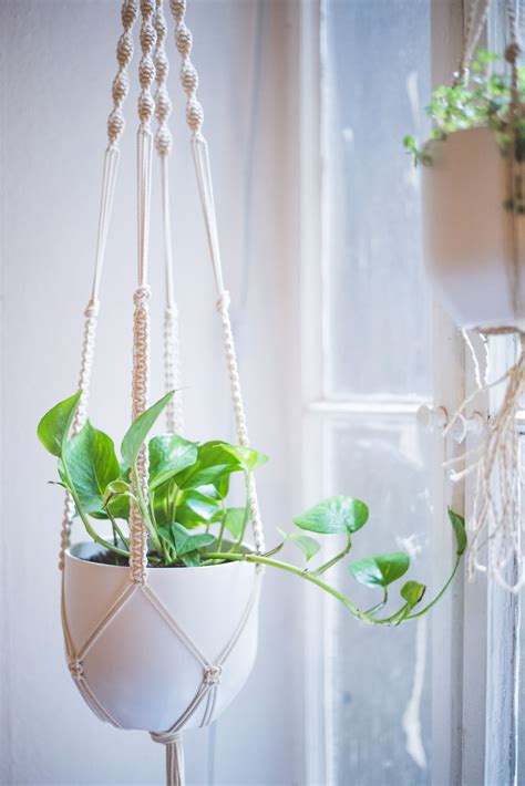 Easy Home-DIY: Macrame Plant Hanger Tutorial - heylilahey.