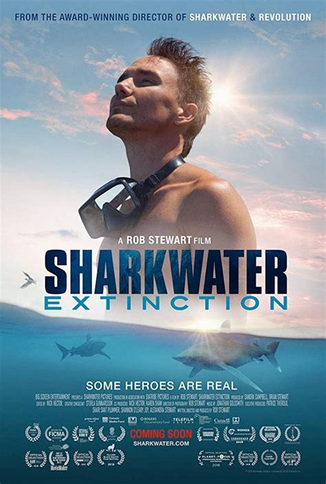 Official Trailer for Illegal Fishing Documentary 'Sharkwater Extinction ...