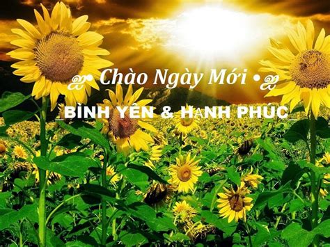 Hình ảnh đẹp và ý nghĩa: Click ngay để thưởng thức những khoảnh khắc ...