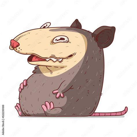 A Possum, isolated vector illustration. Funny cartoon picture for ...