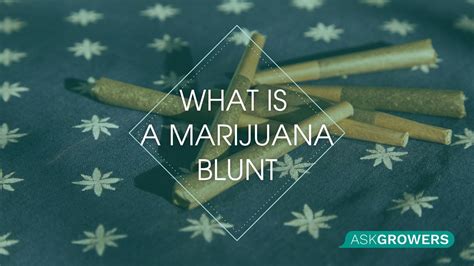 How to Smoke a Blunt? | AskGrowers