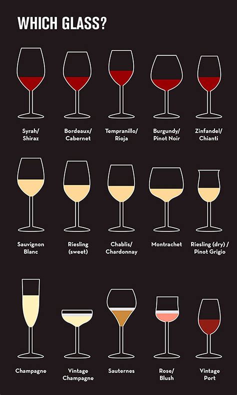 Wine glass shapes, nifty! | Wine knowledge, Wine chart, Wine expert