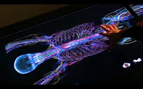 The Anatomage Table - Visualizing Life Size Anatomy — STREET ANATOMY