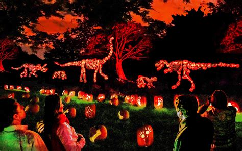 Jack O’Lantern Journey at Franklin Park Zoo: 5 Tips for a Fun Family ...