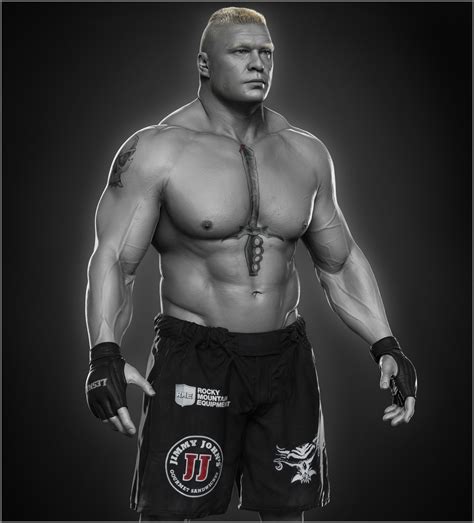 Brock Lesnar done for WWE, Hossein Diba | Brock lesnar, Brock lesnar ...