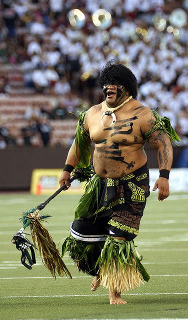 Mascot - University Of Hawaii Sports Blog