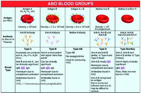 ABO Blood groups and their respective antibodies and antigens (from Ref ...