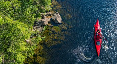 Everything You Need to Know About Kayaking on Chester River, MD