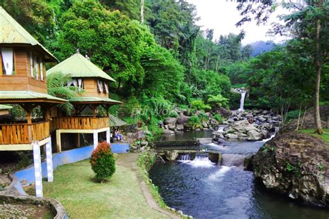 Indahnya Desa Wisata Ketenger Banyumas!!! Harga tiket + Lokasi