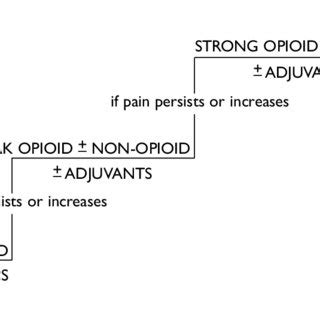 The World Health Organization's three-step pain ladder, which ...