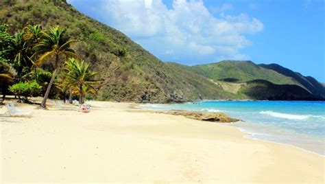 St Croix Carambola Beach resort US Virgin Islands | St. croix, St croix ...