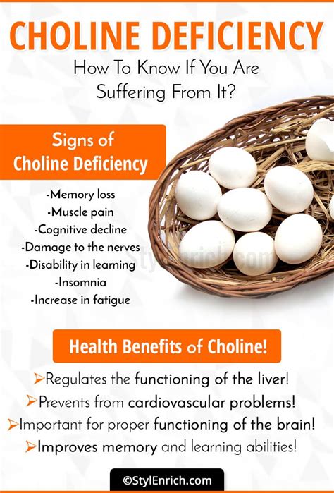 Choline Deficiency - How To Know If You Are Suffering From It?