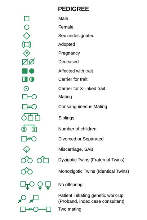 Pedigree Analysis - Labster