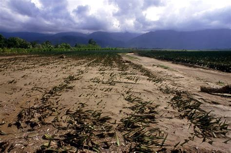 ECOSOC on El Niño: reducing risks, capturing opportunities