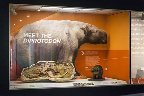 Megafauna - The Australian Museum