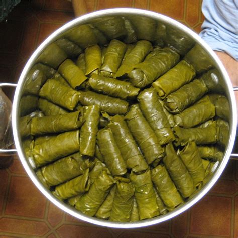 Dolma Definition Ingredients Britannica, 56% OFF