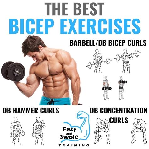 Bicep Tricep Splits Workout Routines We Are Bodybuilders - Photos