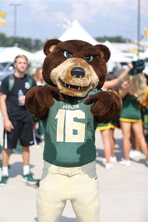 Baylor's beloved mascot: Bruiser!! | Baylor, Baylor university, Baylor bear