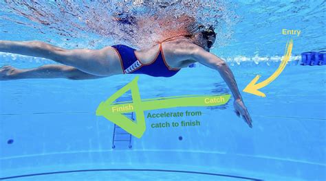 How to Swim Freestyle Better: Overcoming a “Monospeed” Stroke - Vasa ...