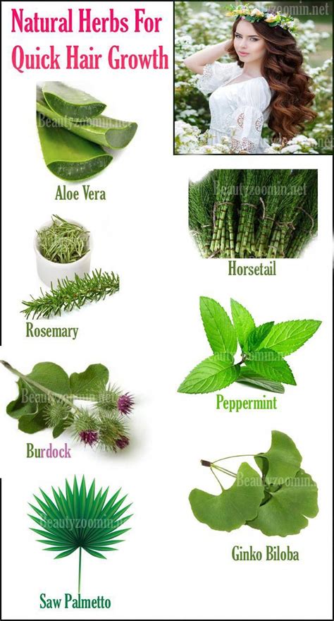 Natural Herbs For Quick Hair Growth in 2020 | Quick hair growth, Herbs ...