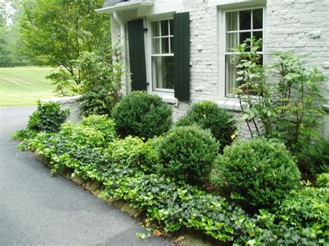 This looks nice and seems way low maintenance. Excellent! | Plants I ...