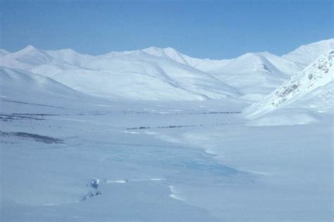 The Tundra Biome: Facts, Pictures & Information; A Land Of Frozen Beauty