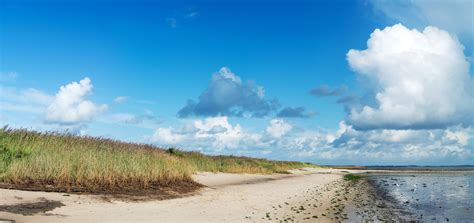 Travel Sylt: Best of Sylt, Visit Schleswig-Holstein | Expedia Tourism