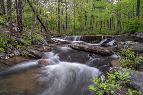 Hiking Trails in Cheaha State Park - Mountain Field Guide