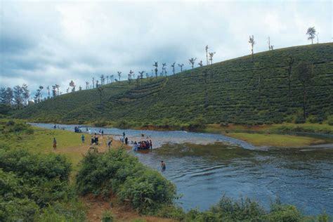 Valparai Trekking Guide Packages : Explore Nature's Wonders on Scenic ...