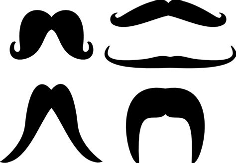 Free Curly Mustache Cliparts, Download Free Curly Mustache Cliparts png ...