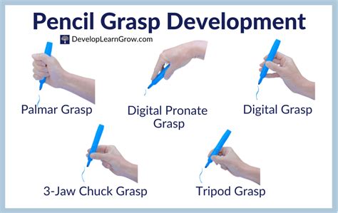 Development of Pencil Grasp - How to Promote a Functional Grasp with 5 ...