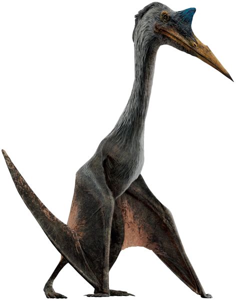 Quetzalcoatlus | Dinosaur Wiki | Fandom