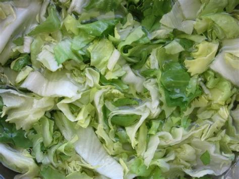 Growing Endive, Planting, Care, Harvesting - A Full Guide | Gardening Tips