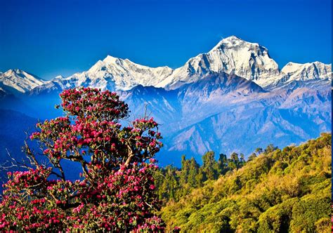 Nepal Wallpaper (60+ images)