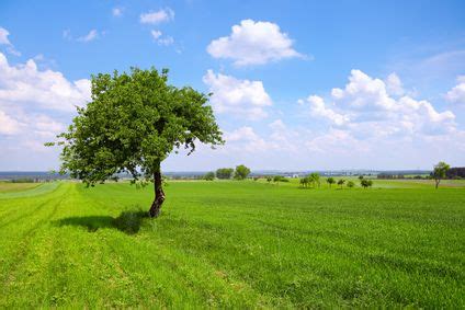 What is a Plain? #landform #wlandforms #Plain | Beautiful nature ...