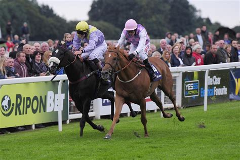 Today's racecards and results from Carlisle racecourse on Wednesday ...