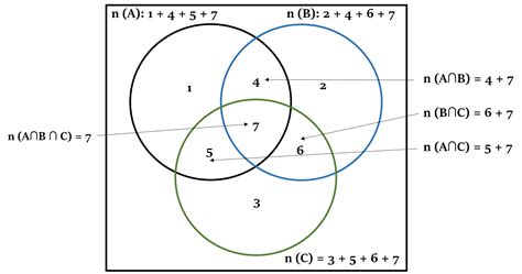 Union and Intersection Formulae and Concepts | Red & White Matter Classes