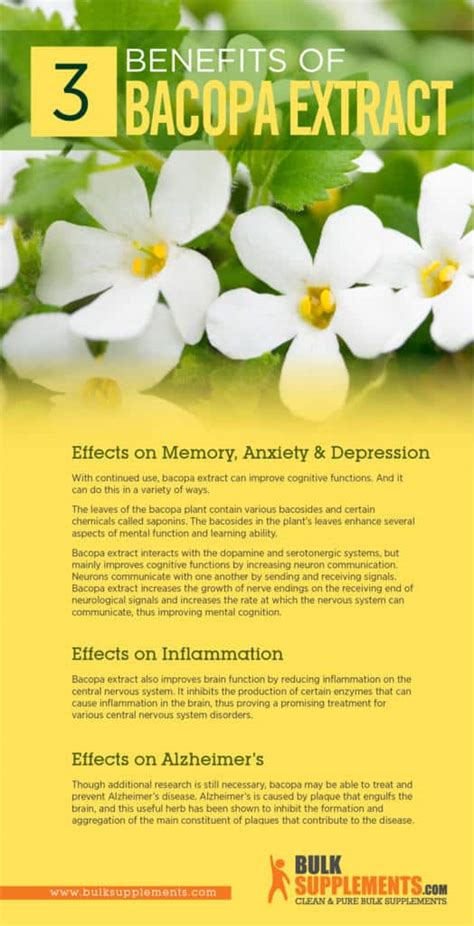 Bacopa Extract: Benefits, Side Effects & Dosage