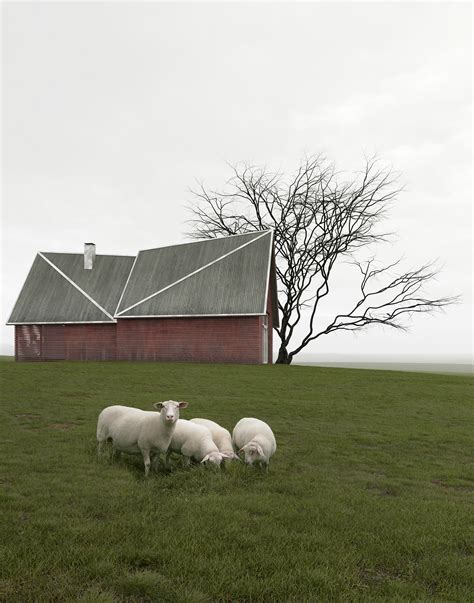 RURAL LANDSCAPE :: Behance