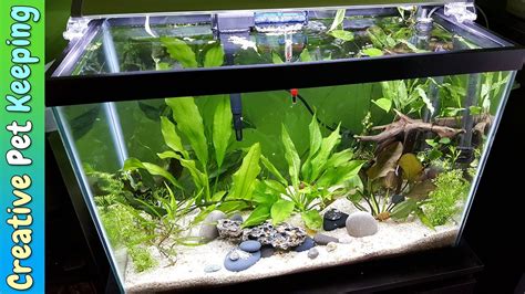 HOW TO setup a 20 Gallon Planted Aquarium 🌱🌿💧 Substrate and Supplies ...