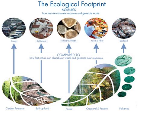 Ecological Footprint - Global Footprint Network