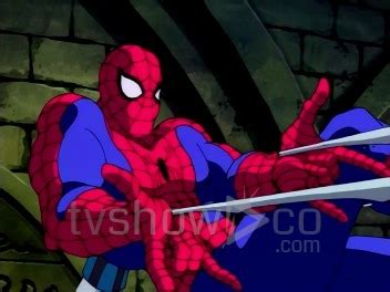 Spider-Man 1994 Animated Series Complete DVD Set – TVShowCo.com