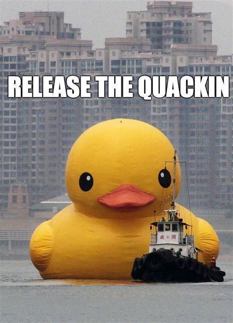 Release the Quackin! - Comediva