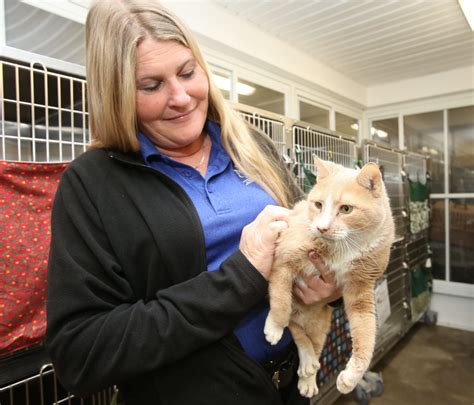 Renovations on tap for Marion County Animal Shelter | Ocala Gazette