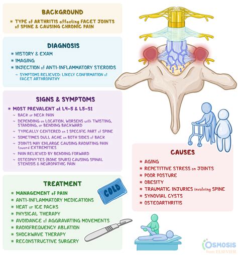 Facet Arthropathy: What Is It, Causes | Osmosis