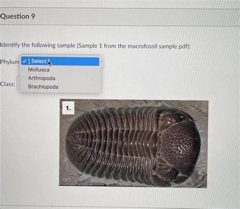 Solved Identify the following sample (Sample 1 from the | Chegg.com