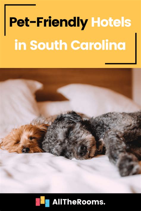 Top Pet-Friendly Hotels in South Carolina - AllTheRooms - The Vacation ...