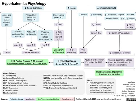 Hyperkalemia- Physiology | Calgary Guide