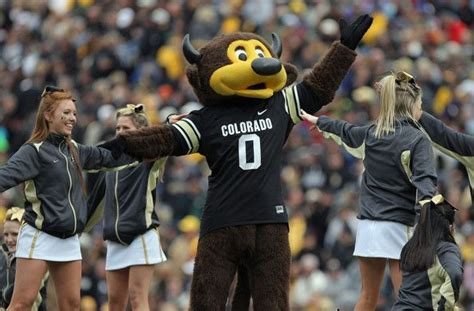 Colorado Buffaloes Mascot Shoots Himself in the Groin after Pointing ...