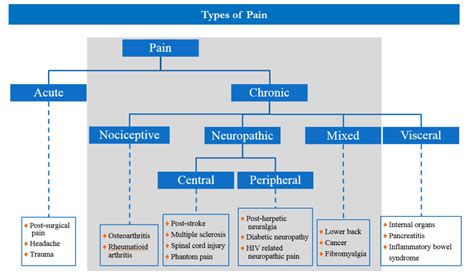 TYPES OF PAIN & PHYSIOTHERAPY :- Samarpan Physiotherapy Clinic